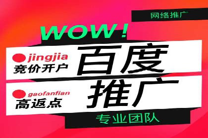 SEM托管服务助力企业实现多渠道营销案例